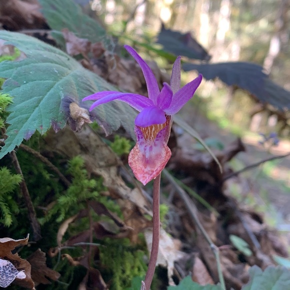 Meet your Posher, Kate - Picture 8 of 13